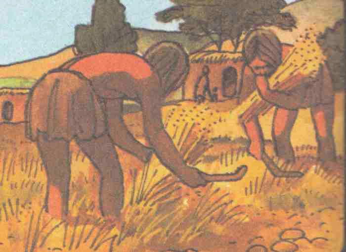 Люди научились выращивать сельскохозяйственные культуры примерно 11 000 лет назад
